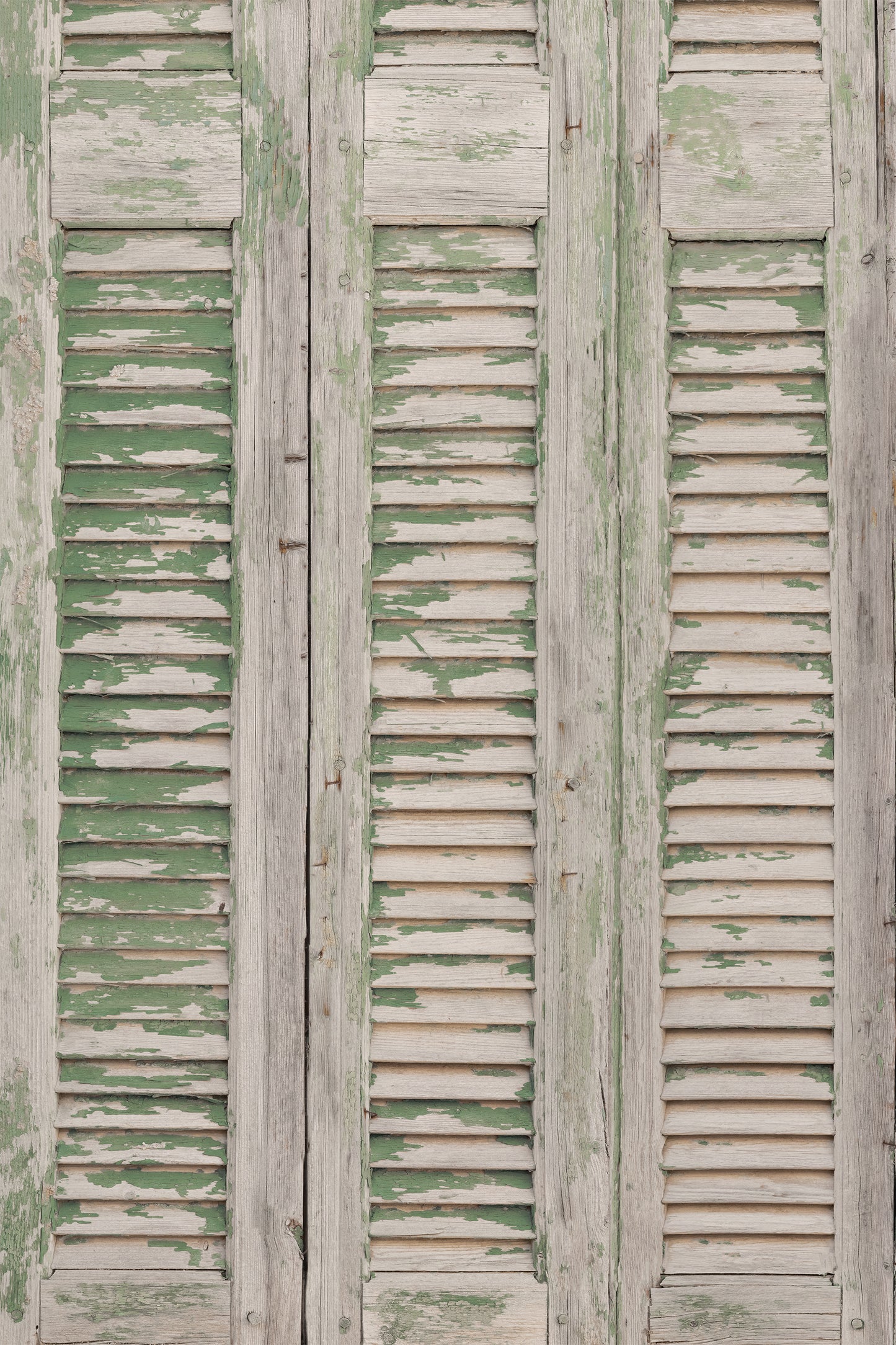 Weathered Green Shutters