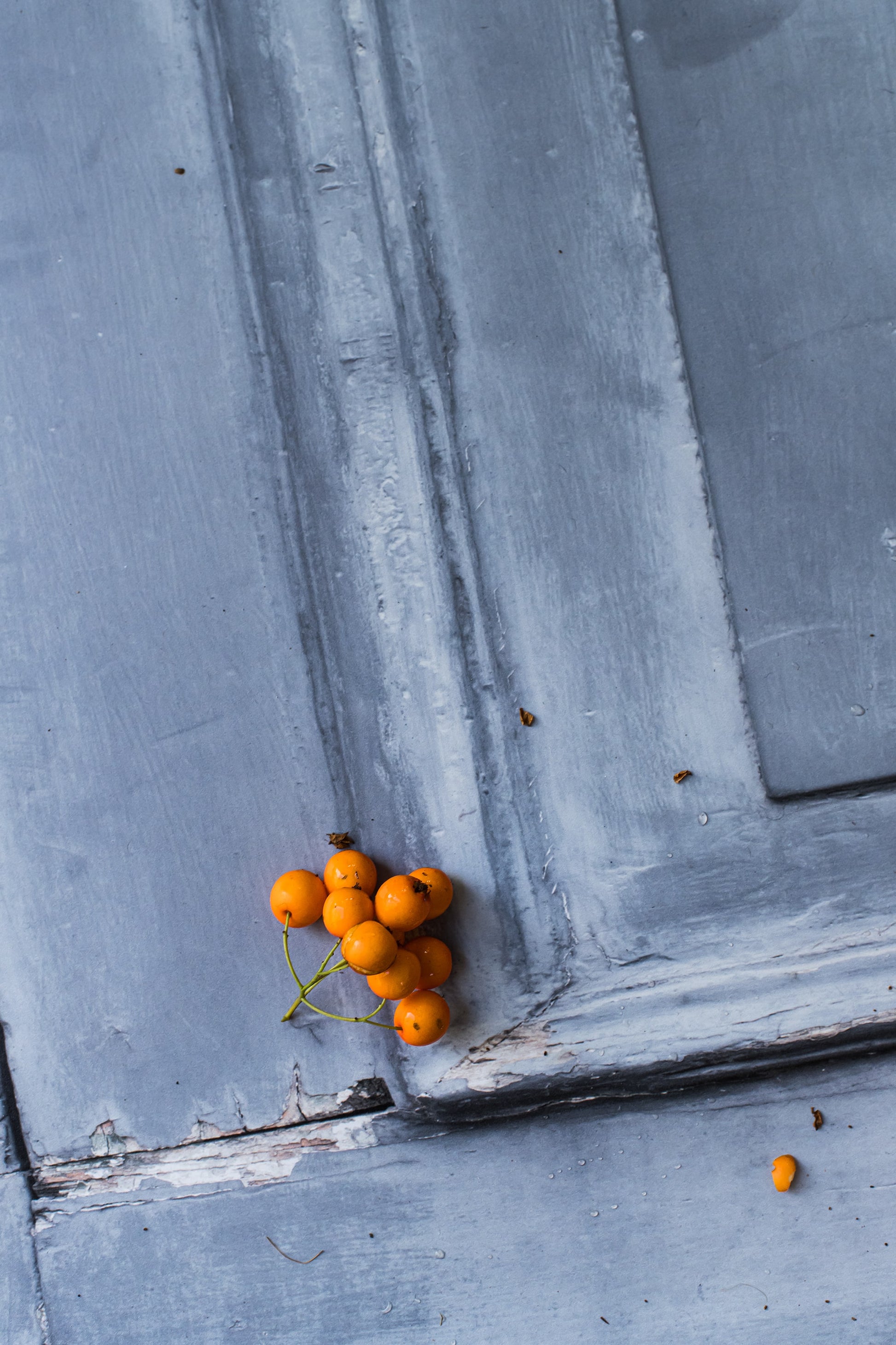 Photography Backdrop | Palazzo Door