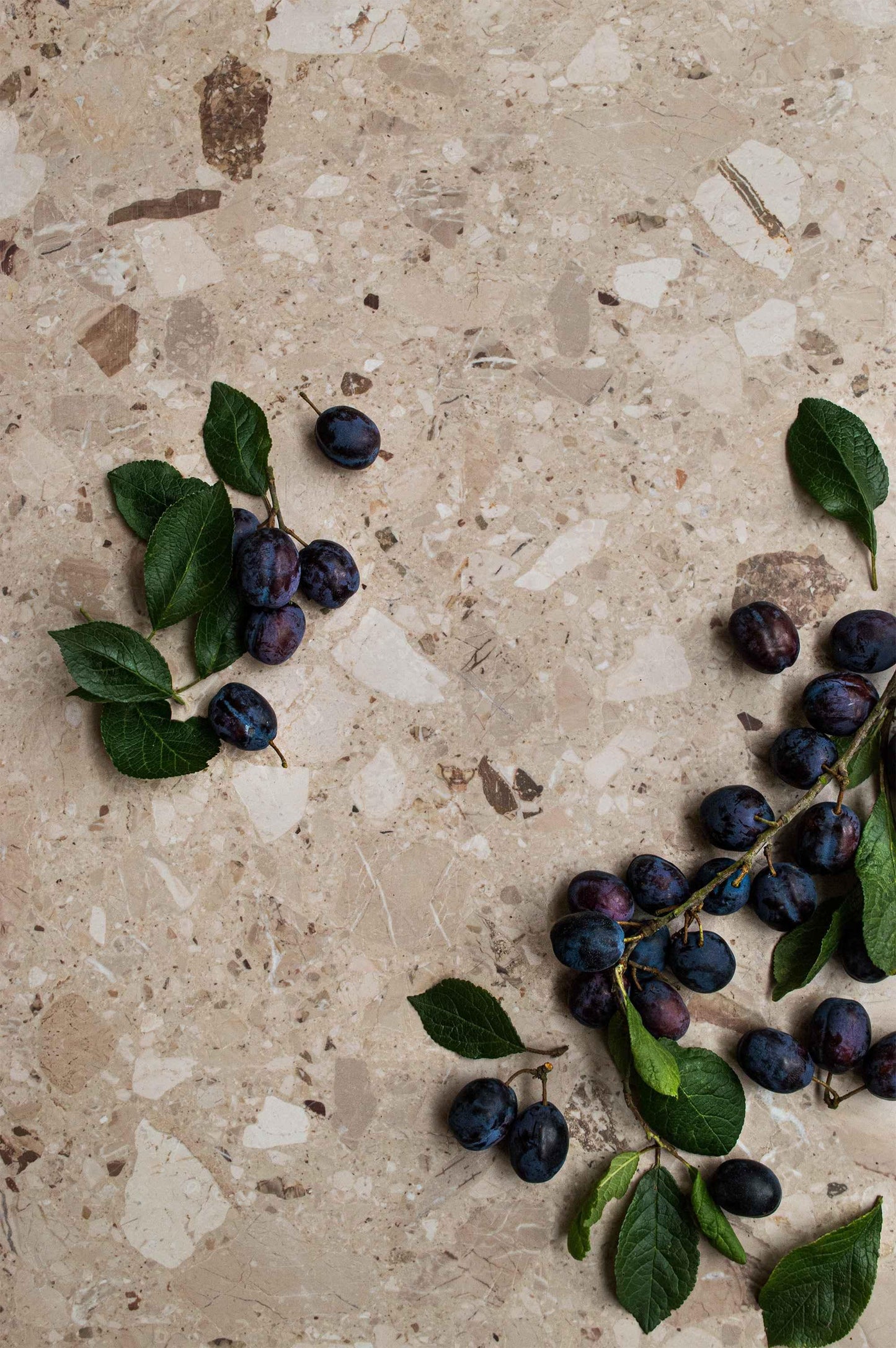 Photography Backdrop | Natural Terrazzo